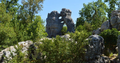 Bois de paiolive - Ardeche