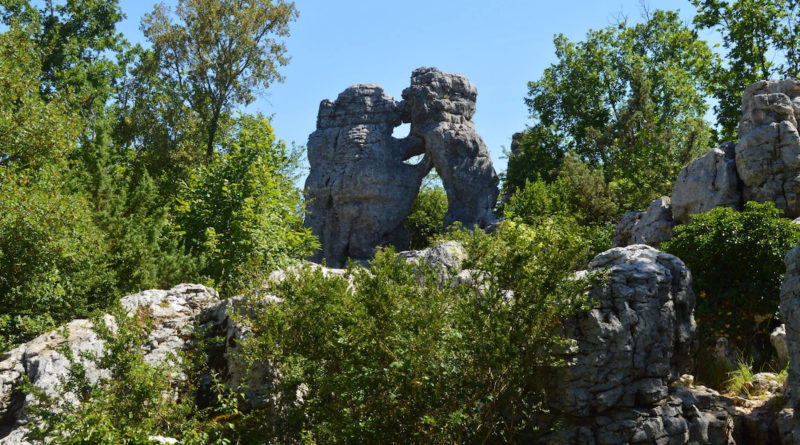 Bois de paiolive - Ardeche