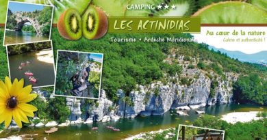 Camping*** Les Actinidias