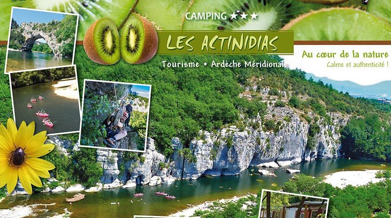 Camping*** Les Actinidias