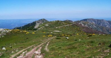 Le massif du Tanargue