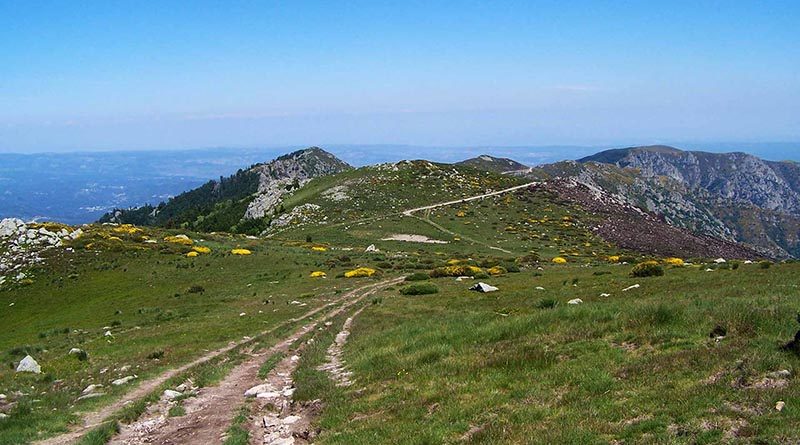 Le massif du Tanargue