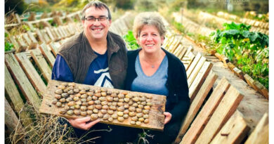 Escargot des Restanques