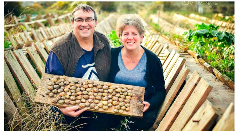 Escargot des Restanques